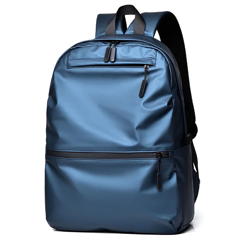 Sinplo Executive Backpack Day