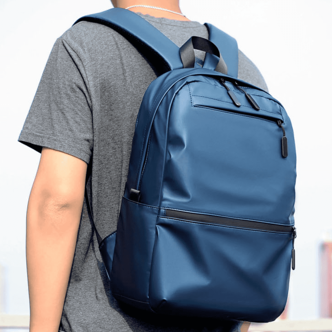 Sinplo Executive Backpack Day