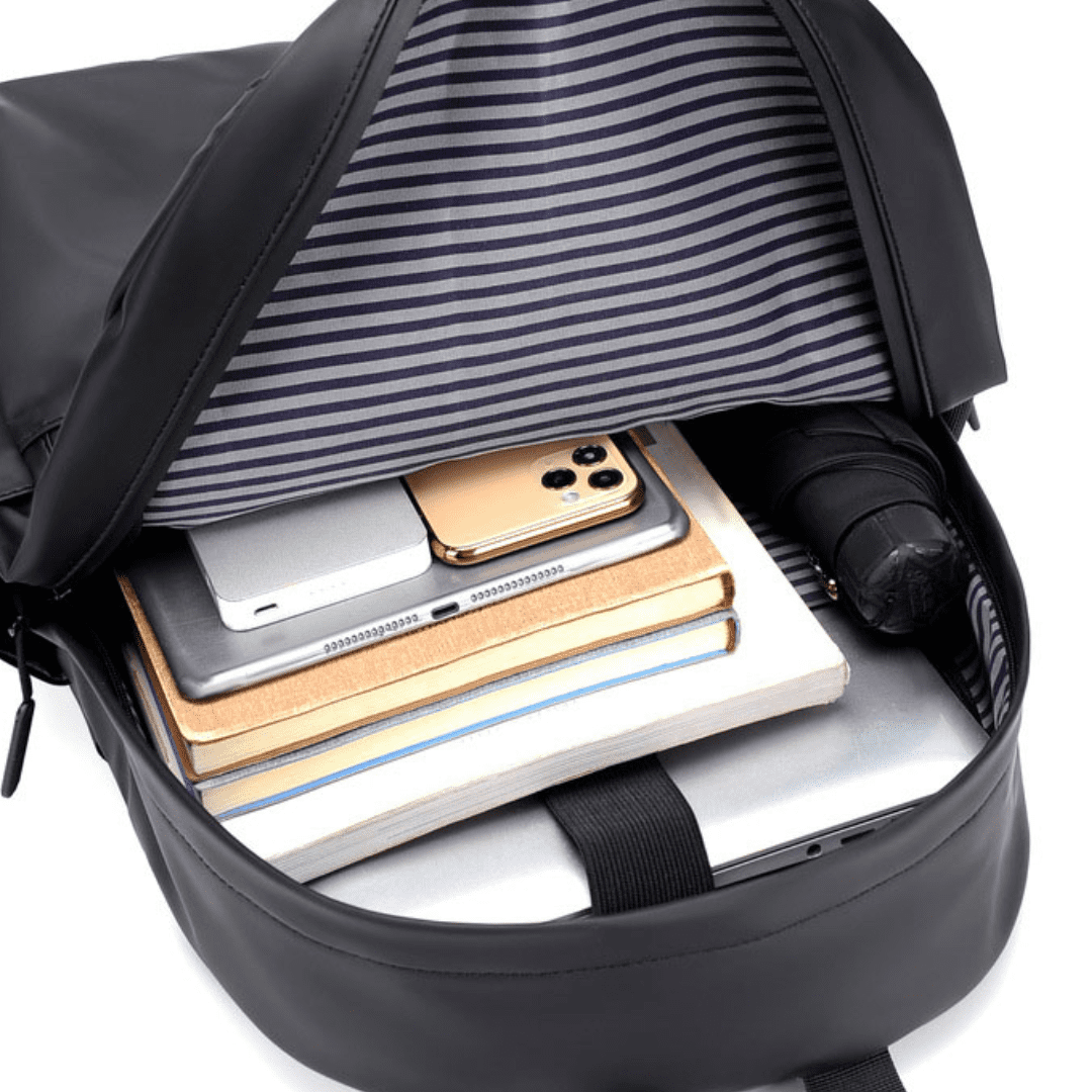 Sinplo Executive Backpack Day